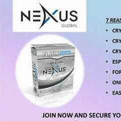 Nexus Global investment