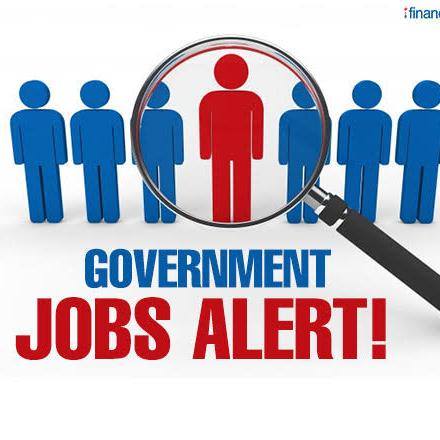 Gov job