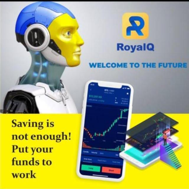 Royal Q plan daily 100$