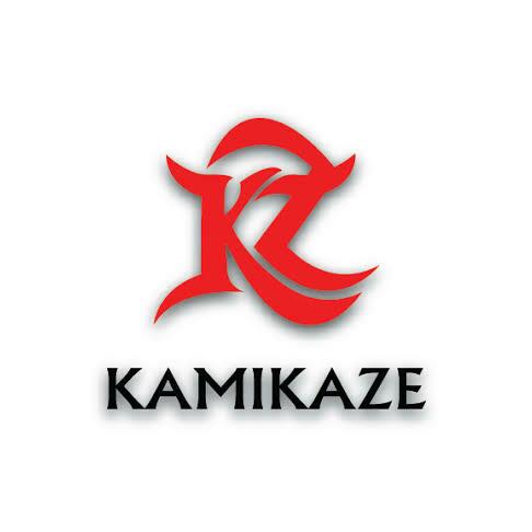 KAMIKAZE palpites #13°