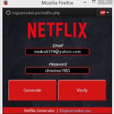 Free Netflix Access